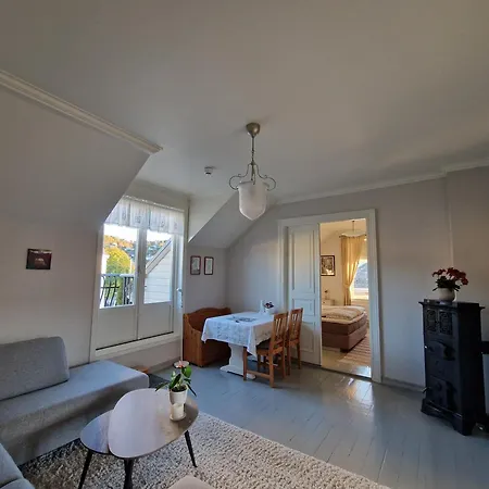 Charming Apartment, 3rd Floor In Swiss Leilighet *